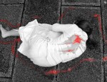 "¿Y cuántas mujeres al año?" - Foto: Libertinus