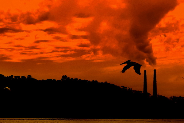 Los países más poderosos de la Tierra son los causantes del actual desastre ambiental y opositores a la reducción de las emisiones de gases de invernadero - Foto: Dawn Ellner