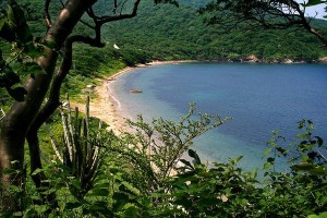 La trasnacional del turismo Six Senses aún tiene los ojos puestos sobre el parque Tayrona para la construcción de un hotel de siete estrellas, a pesar del desastre ambiental que puede implicar un proyecto de esa magnitud - Foto: Sara y Tzunki