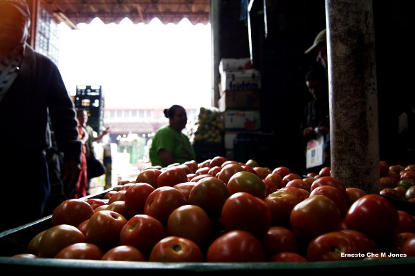 Con la actual producción de alimentos en el mundo se podría superar el hambre de una población muy superior a la actual - Foto: Ernesto Che Mercado Jones