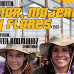 Celebremos 11 años de imaginación