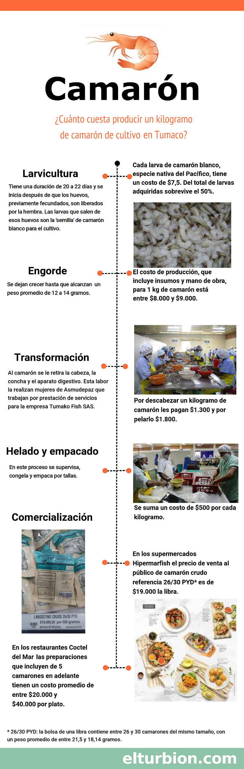 Infografía de El Turbión.