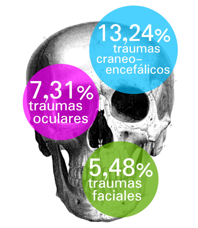 Infografía que presenta un cráneo humano al fondo y sobre partes de este 3 círculos: cerca de la frente al lado derecho un texto que dice "13,24% traumas craneoencefálicos"; cerca del ojo otro que dice "7,31% traumas oculares"; y junto a la mandíbula un que dice "5,48% de traumas faciales.