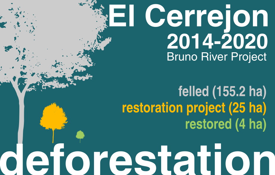 In the infographic the heading "El Cerrejón 2014 - 2020 Bruno River Project" appears followed by the silhouette of three trees: the largest corresponds to the legend "felled down 155.2 hectares"; the second, much smaller, to "restoration project 25 hectares"; and the third, extremely small, to "restored 4 hectares." At the end you read the word 'deforestation'.