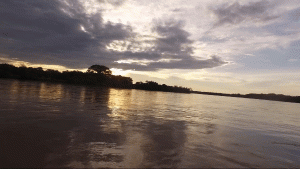 Putumayo river - Photo: Andrés Gómez