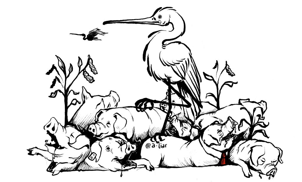 Land for soy, corn, and pigs, dispossession for the Sikuani